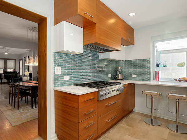 Wicker Park Renovation